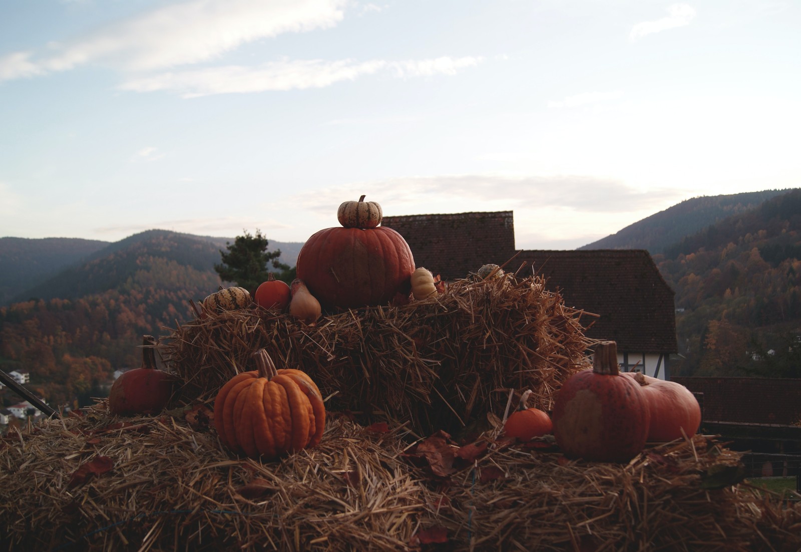 Lade halloween, heu, zukunft, wolke, kürbis Hintergrund herunter