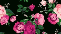 rose, fleur, dessin floral, plante à fleurs, roses de jardin