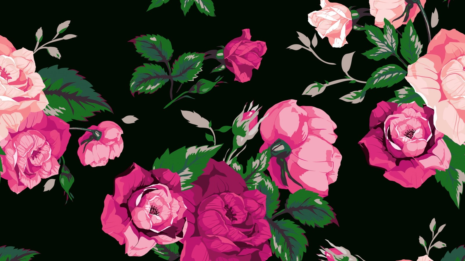 Un gros plan d'un bouquet de roses roses sur un fond noir (rose, fleur, dessin floral, plante à fleurs, roses de jardin)