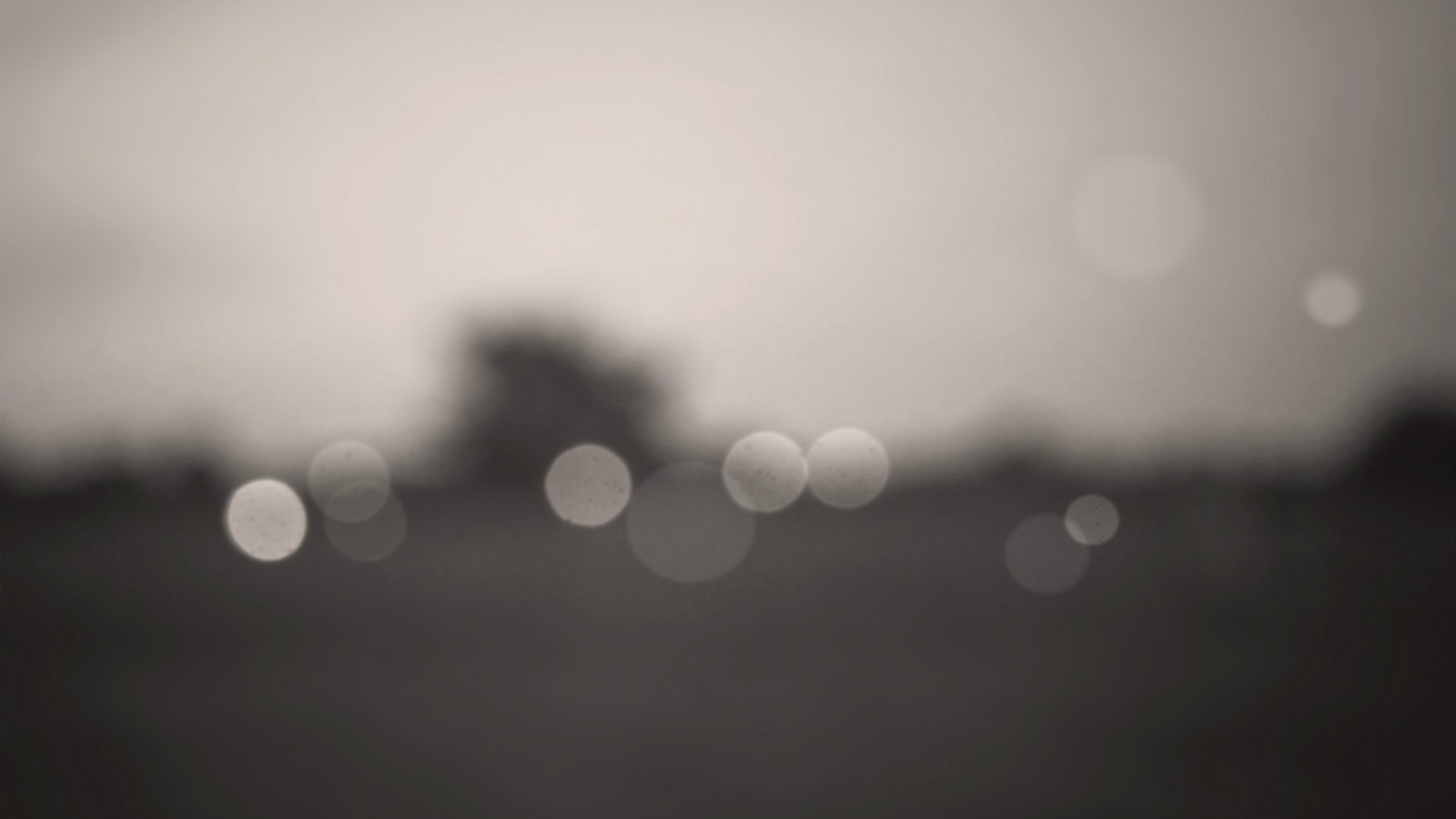 Hay una foto borrosa de un árbol a la distancia (día, monocromo, niebla, atmósfera, mañana)