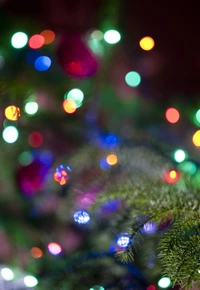 Colorful Christmas tree lights illuminating a festive night.