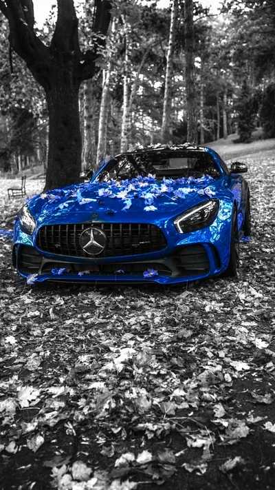 mercedes, benz, bleu