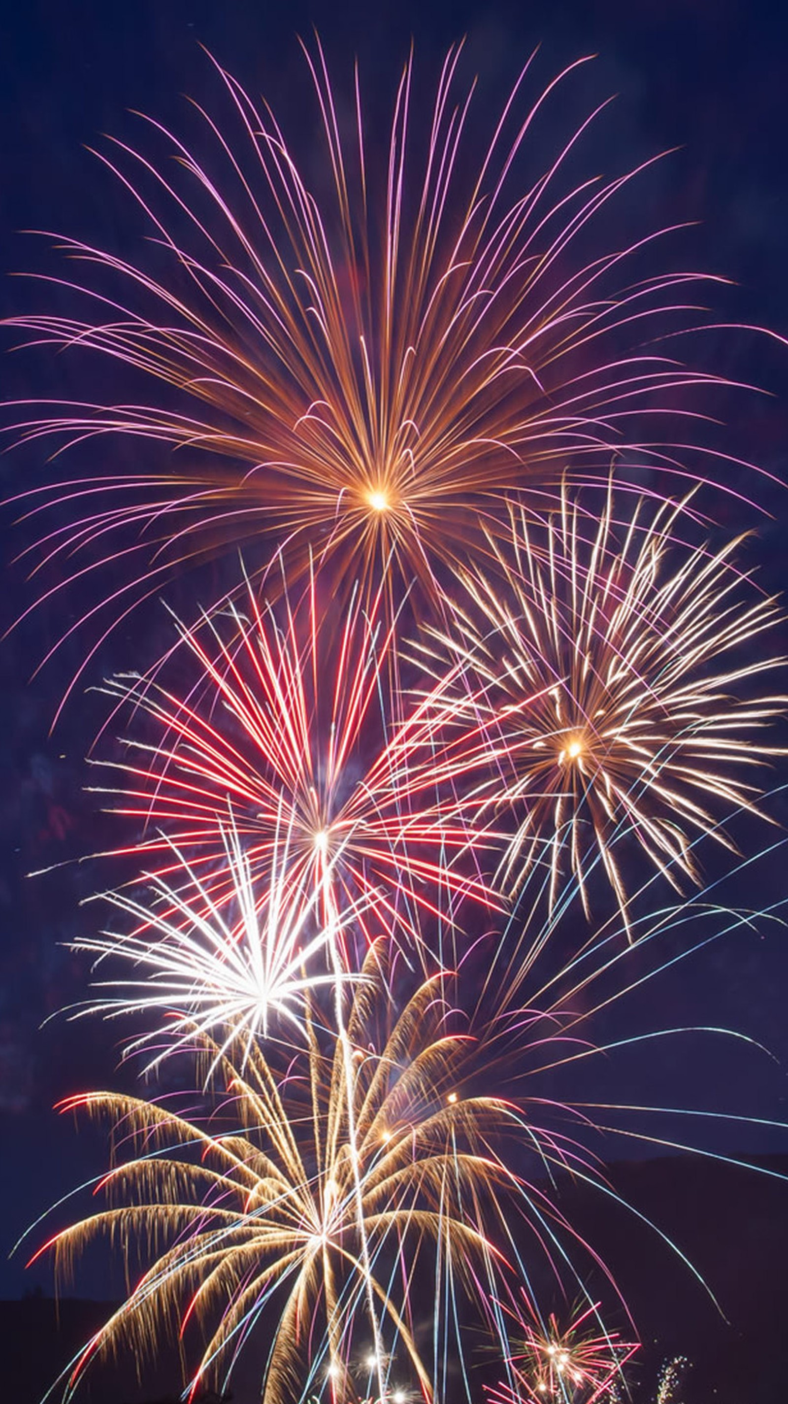 Fireworks are lit up in the night sky with a dark sky (4th of july, fireworks)