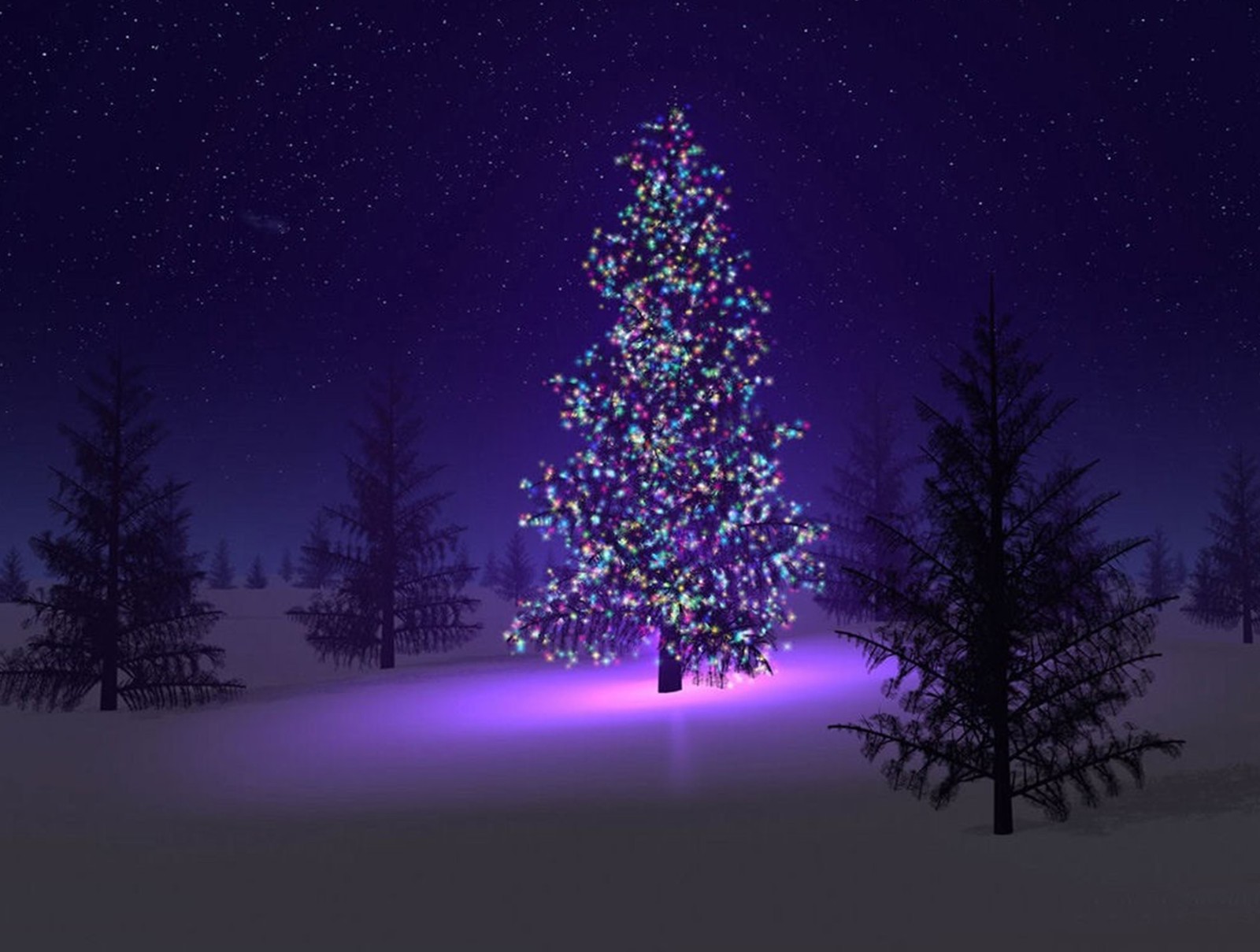 A close up of a christmas tree with a purple light (christmas, merry)