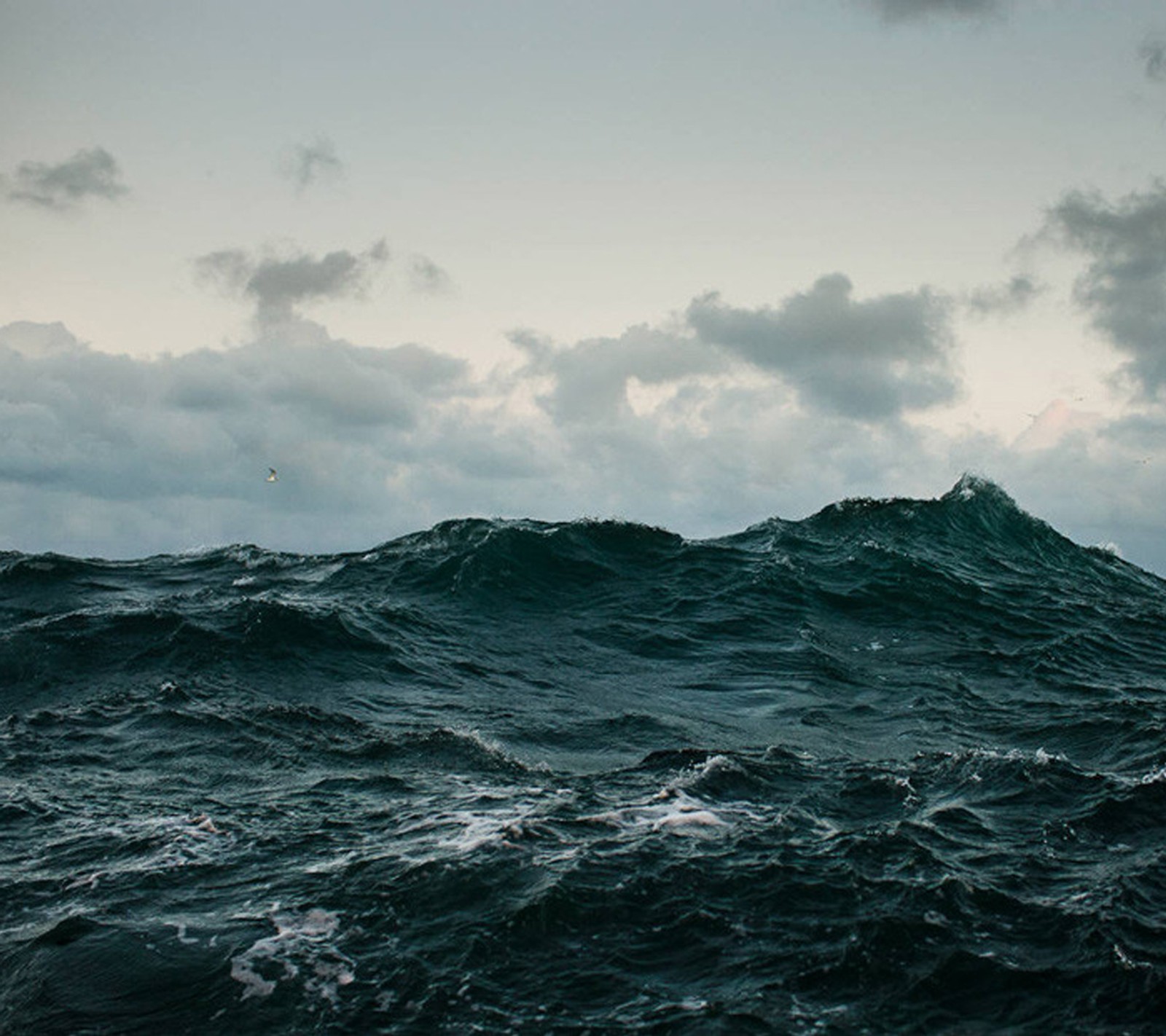 There is a large wave in the ocean with a bird flying in the sky (nature, ocean)