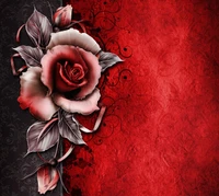 Red Rose on Elegant Textured Background