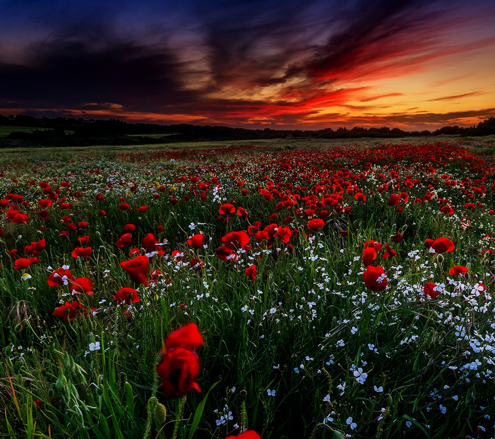 Descargar fondo de pantalla paisaje, primavera