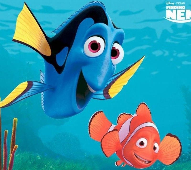 Близкий план рыбы с другой рыбой на ней (дори, dory, нэмо, nemo)