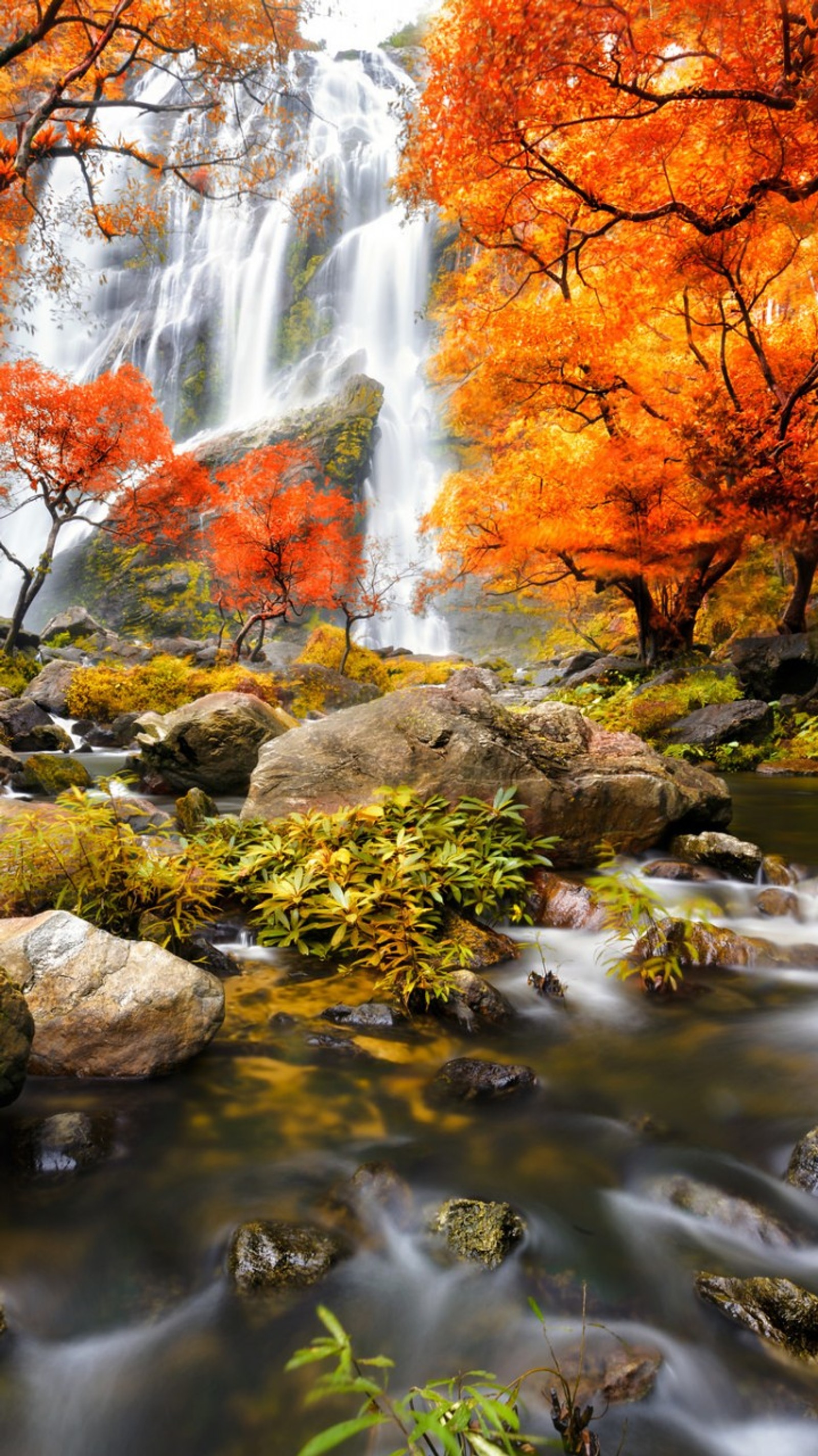 Cachoeira no outono com árvores coloridas e pedras em primeiro plano (fundo, beautiful waterfall, hd, natureza, legal)