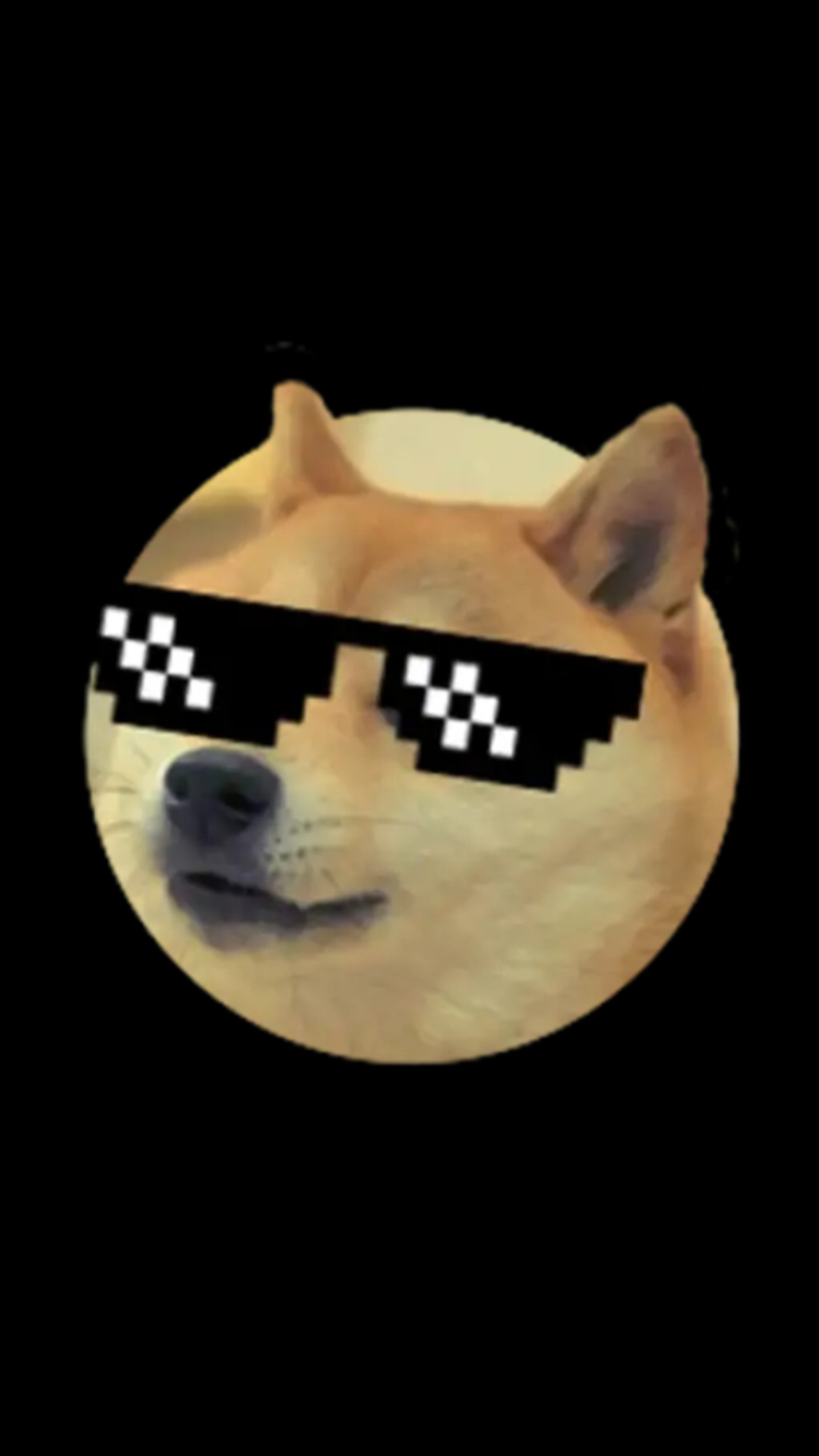 Nahaufnahme eines hundes mit sonnenbrille auf schwarzem hintergrund (hund, memes, sonnenbrillen)