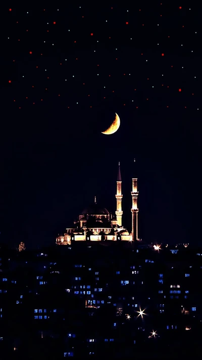 Moonlit Istanbul: A Serene Night Over an Islamic Landmark