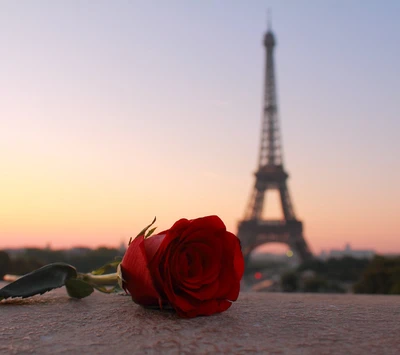 city eiffel tower, amor