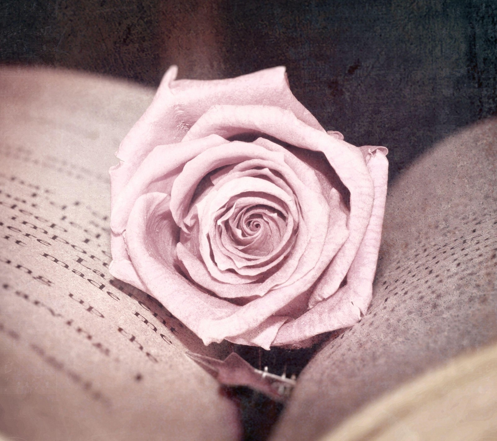 There is a rose that is sitting on top of a book (book, red, rose, vintage)