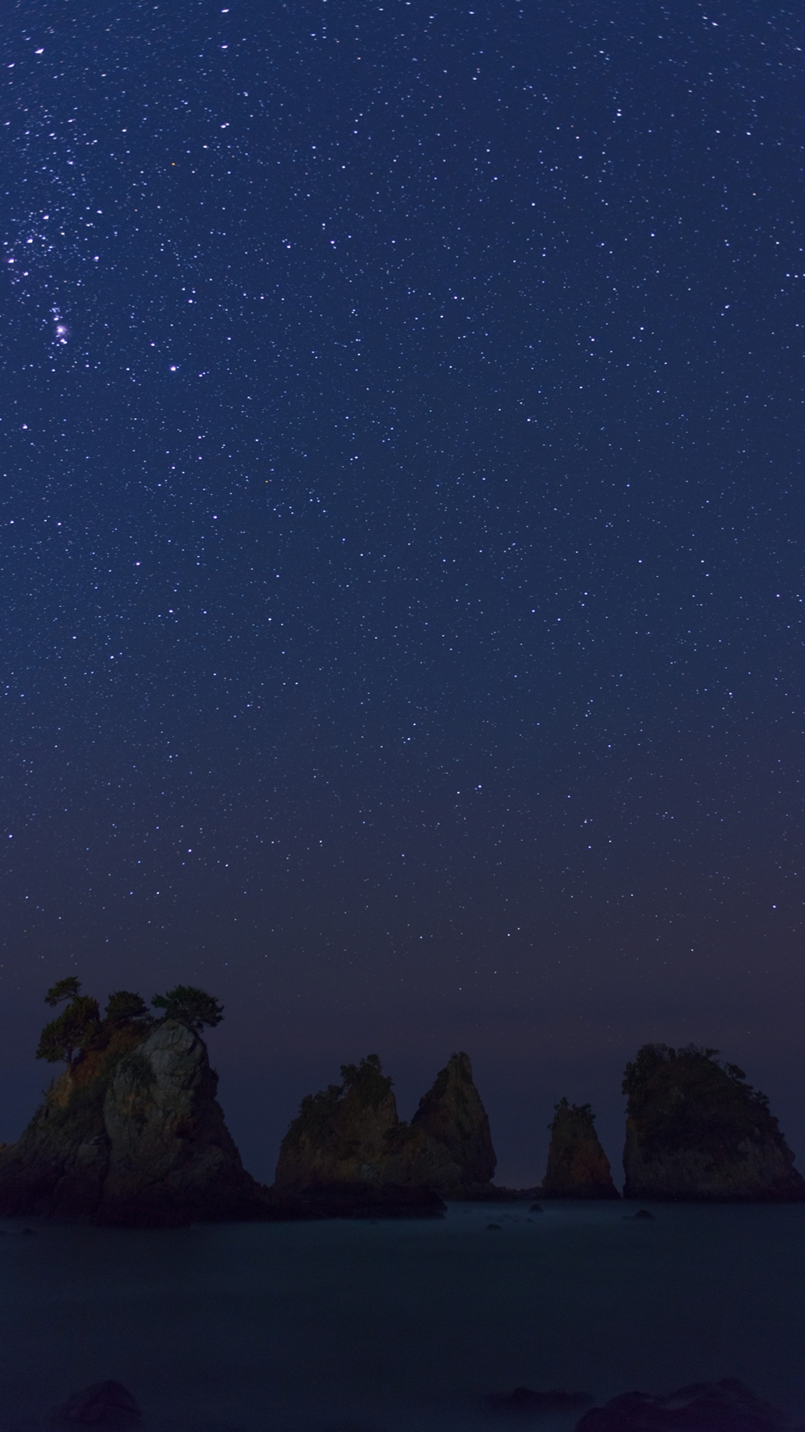 Céu estrelado sobre o oceano com rochas e árvores em primeiro plano (ilha, noite, oceano, mar)