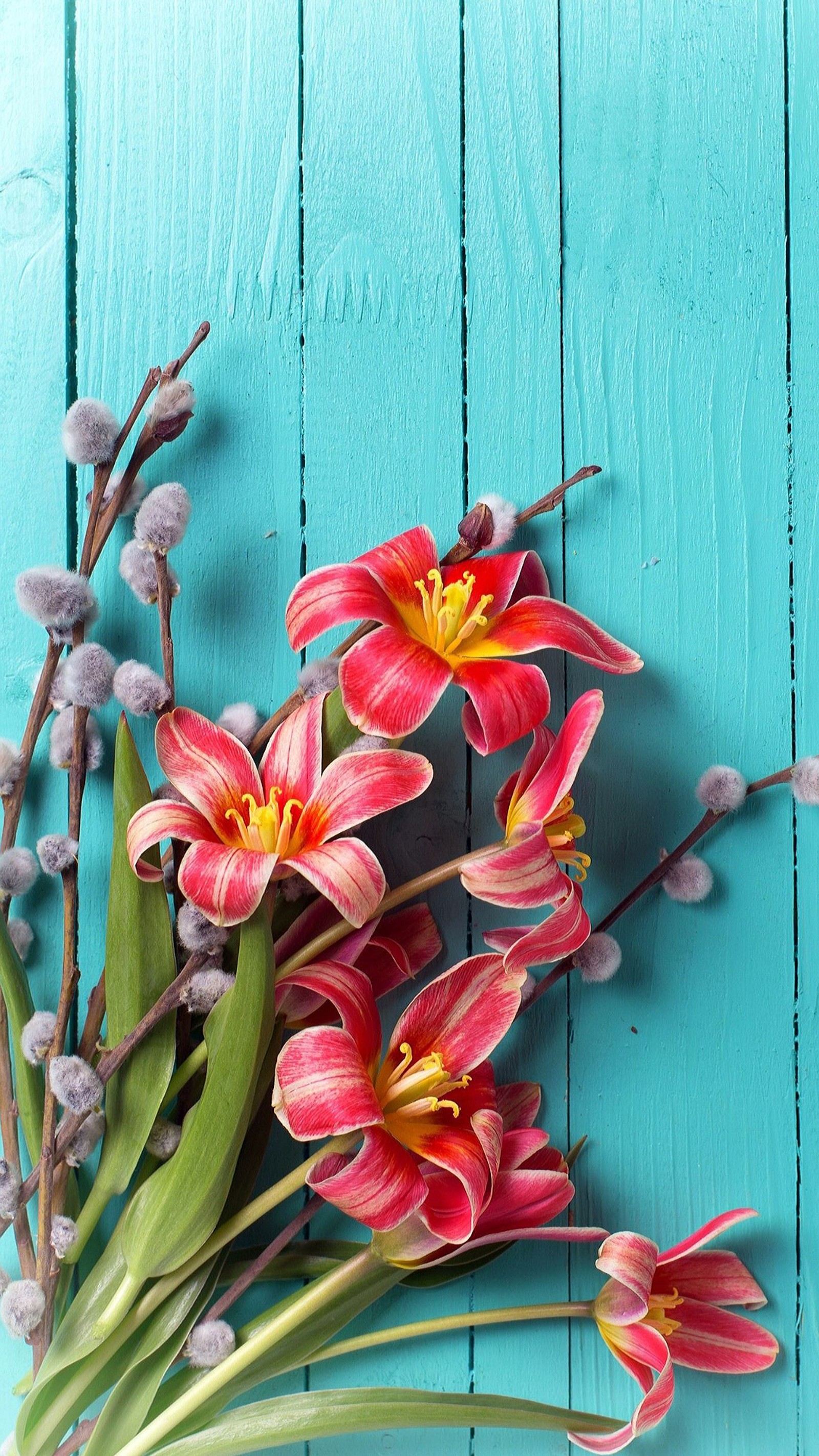 Il y a un tas de fleurs sur une table bleue (bleu, fleurs, nature, rouge, bois)