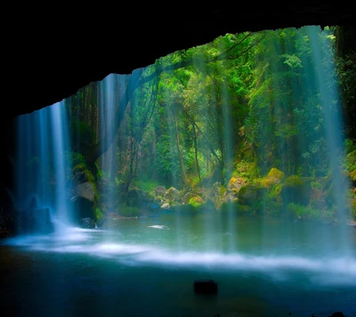 Chute d'eau enchanteresse entourée de verdure luxuriante