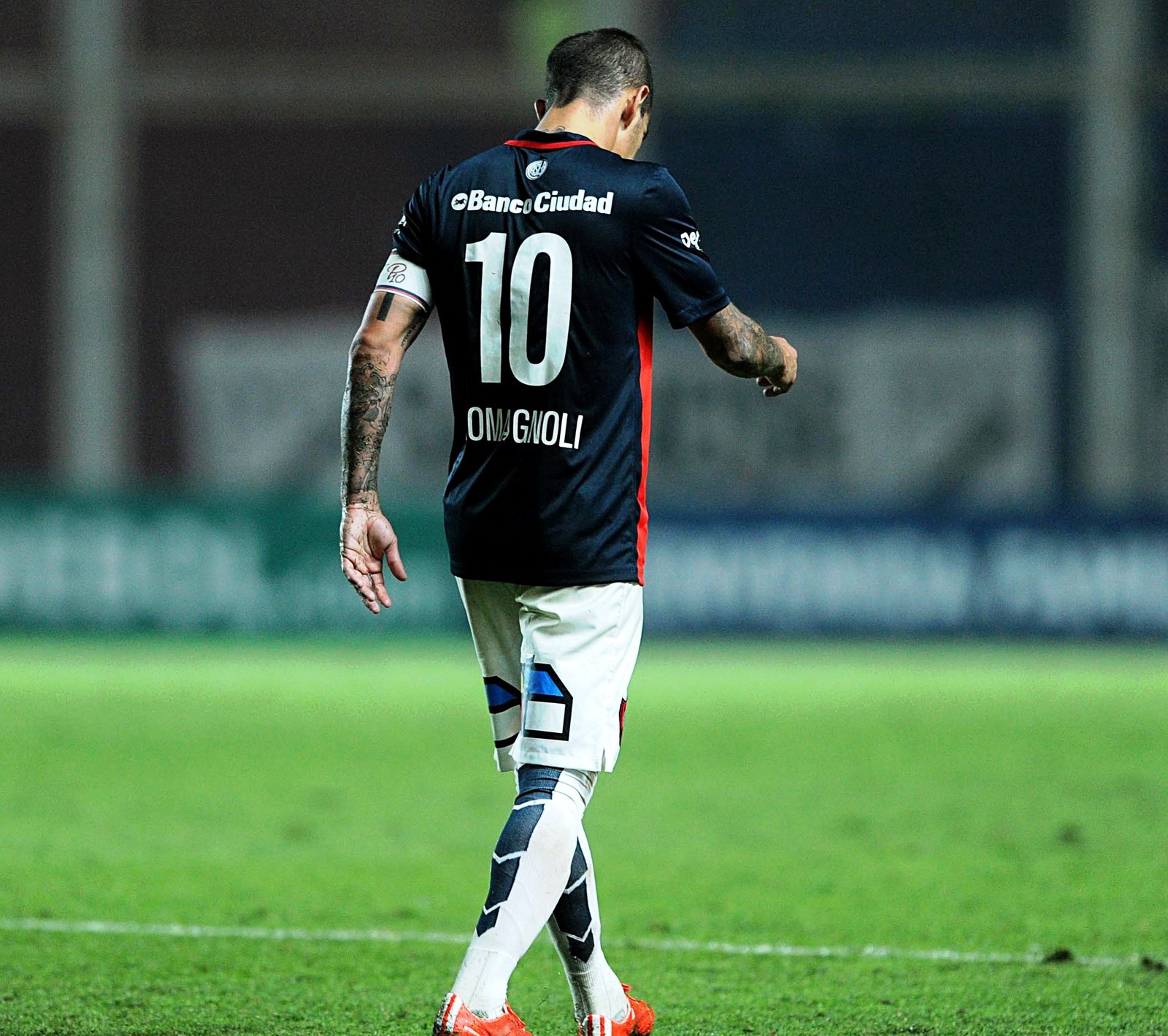 Descargar fondo de pantalla 10, romagnoli, san lorenzo