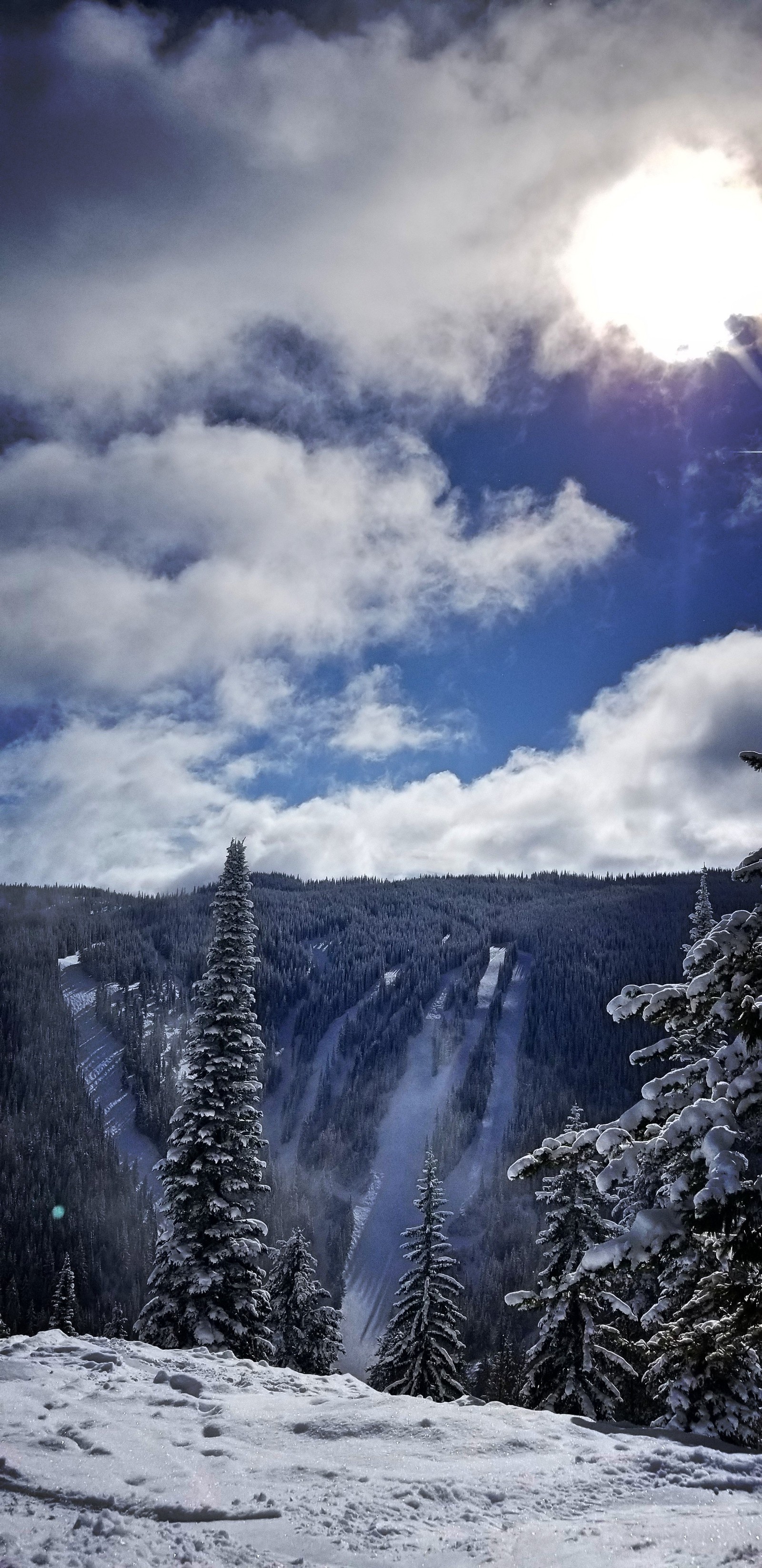 Des skieurs sur une pente enneigée avec des arbres et une montagne en arrière-plan (neige, montagne, hiver, snowboard, nature)