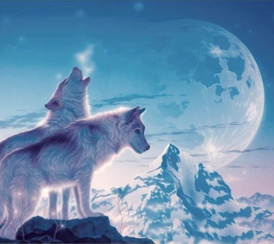 howl, moon, wolf, wolves