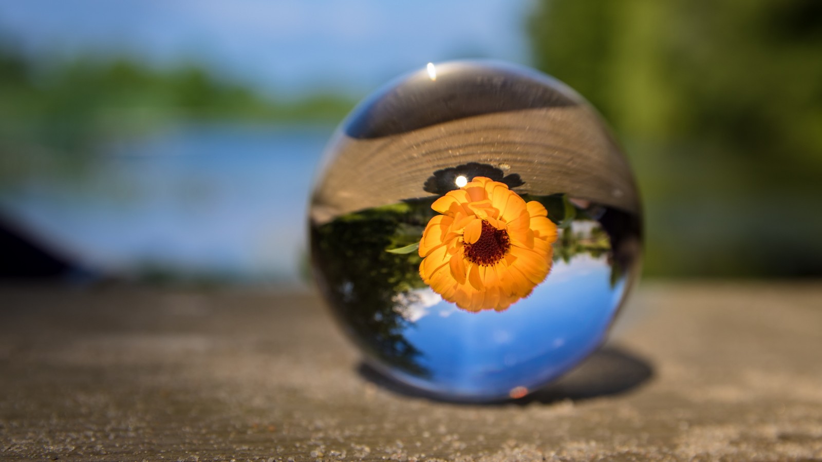 There is a glass ball with a flower in it on a table (blue, orange, yellow, cobalt blue, reflection)