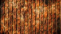 Close-Up of Textured Brick Wall with Rich Patterns