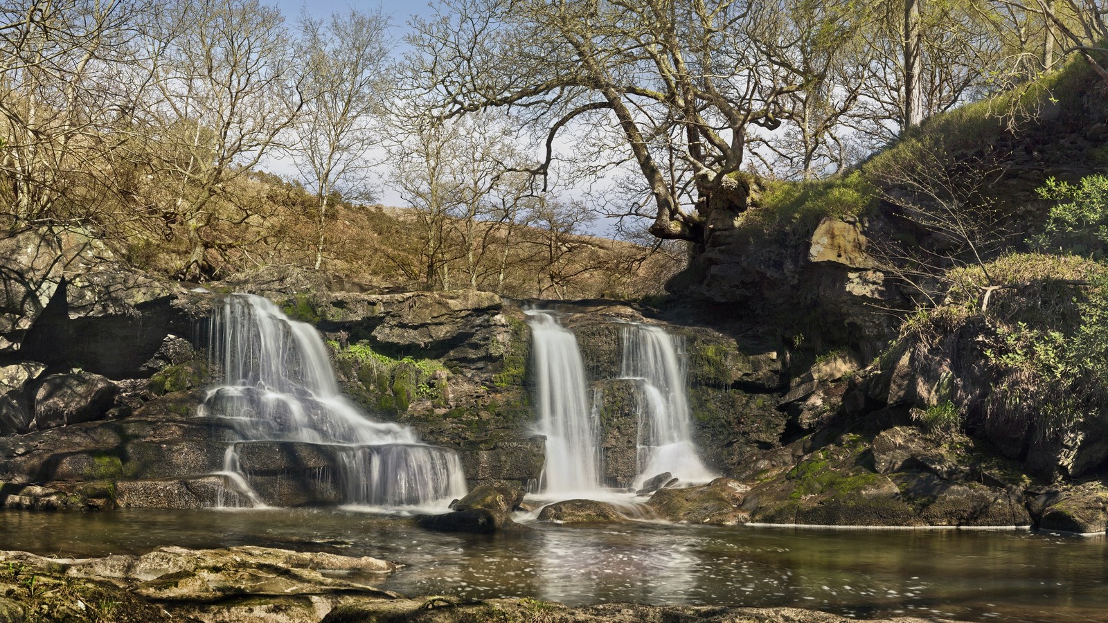 A view of a waterfall in a wooded area with trees (waterfall, landscape painting, body of water, water resources, nature)