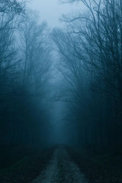 niebla, nube, naturaleza, paisaje natural, atmósfera