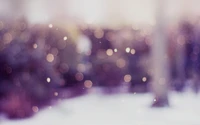 bokeh, roxo, violeta, luz, neve