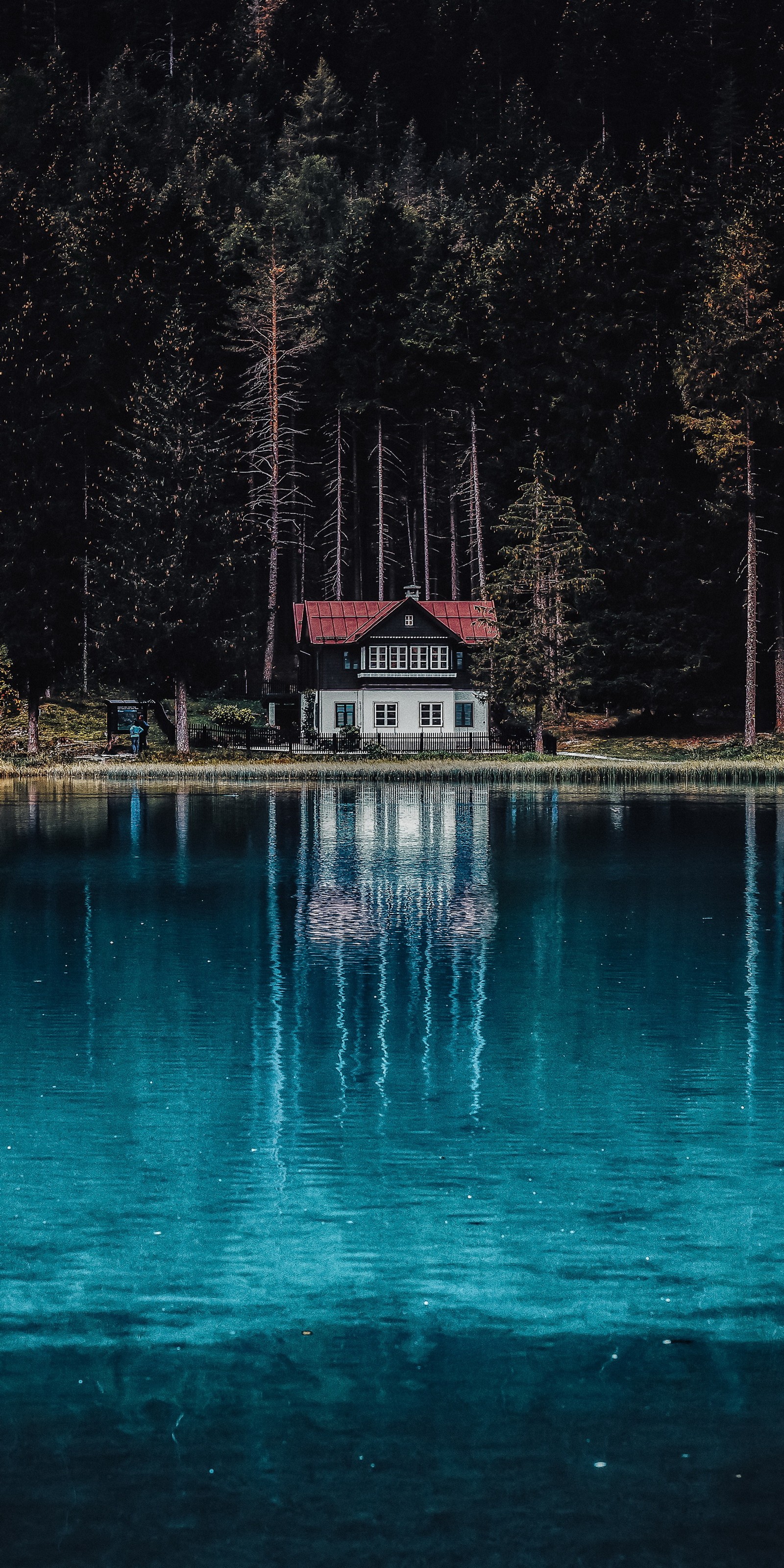 Há uma casa de barco na água no meio da floresta (reflexo, água, monte fuji, vulcão, montanha)