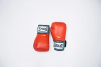 Luvas de boxe Everlast vermelhas para treinamento e esportes de combate