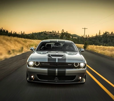 voiture, dodge, muscle