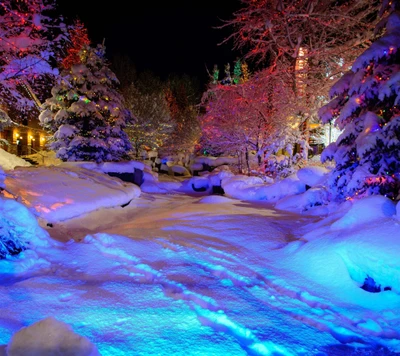 Maravilla invernal: luces navideñas brillando en una noche nevada