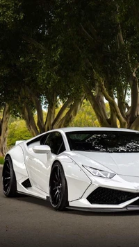 Lamborghini Huracán blanc élégant au milieu de la verdure luxuriante