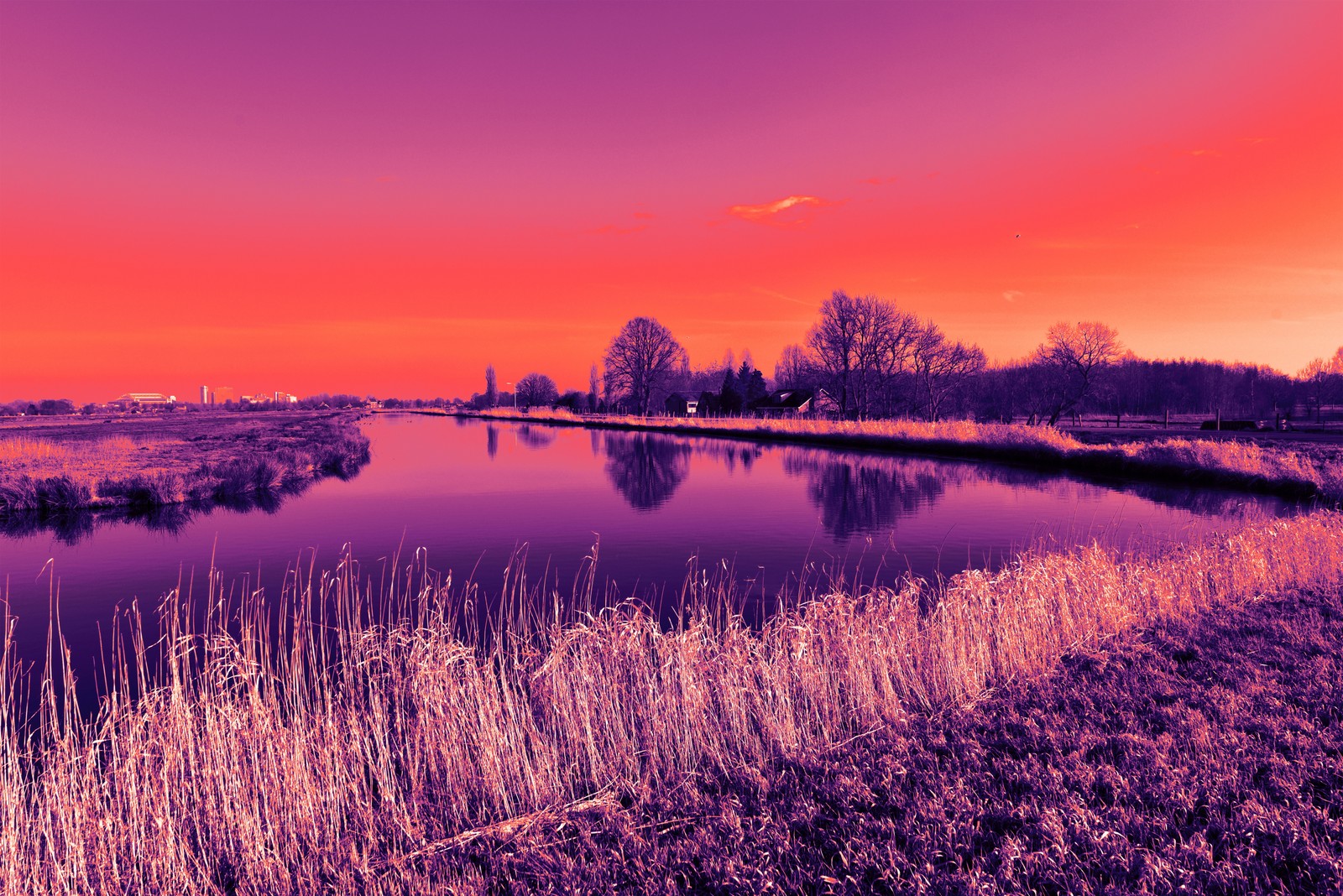 Lade himmel, blume, blumen, see, natur Hintergrund herunter