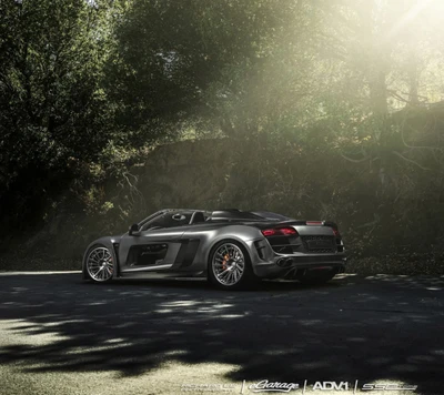 Éblouissant Audi R8 Cabriolet au milieu de la sérénité de la nature