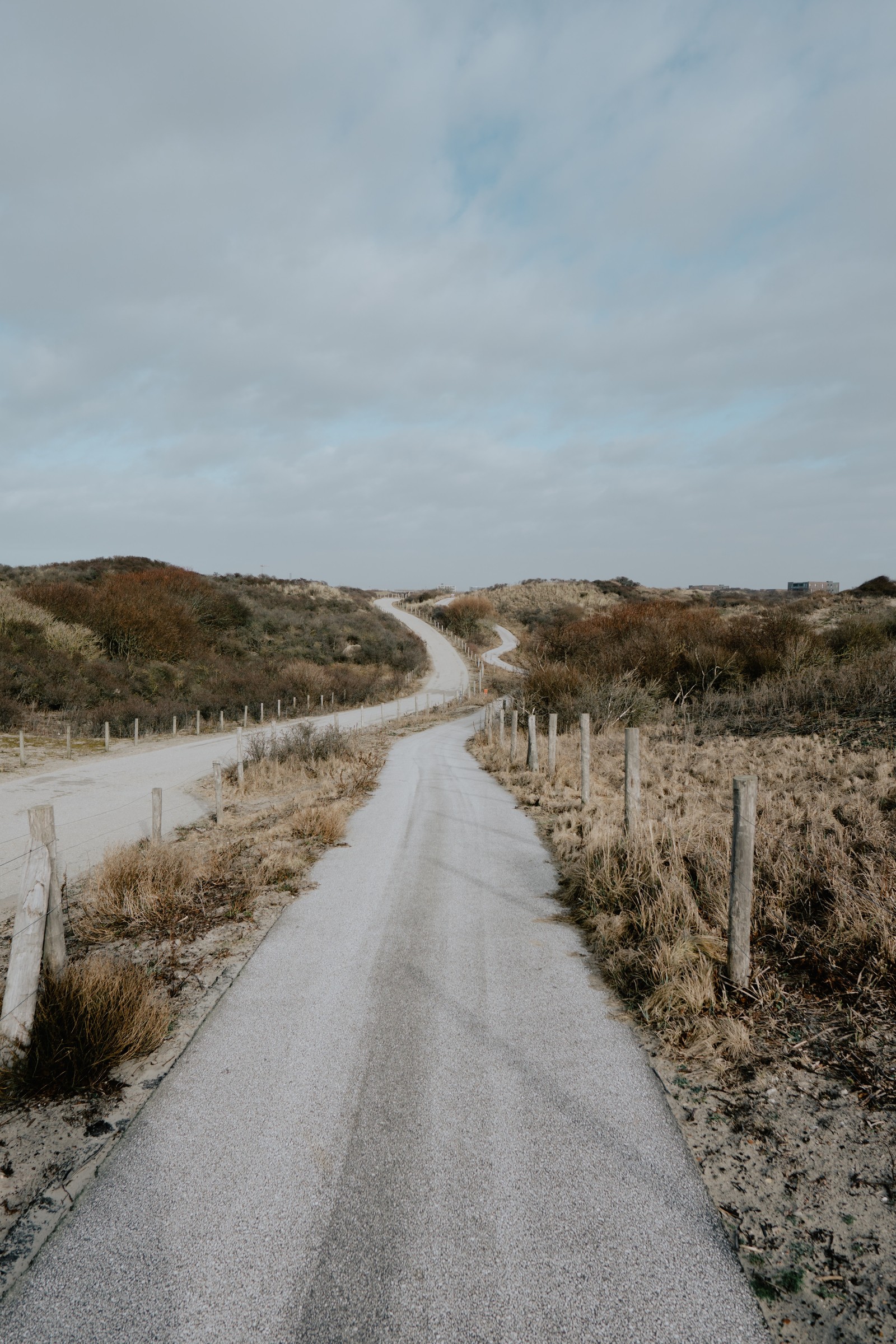 road, highland, infrastructure, tree, lane wallpaper