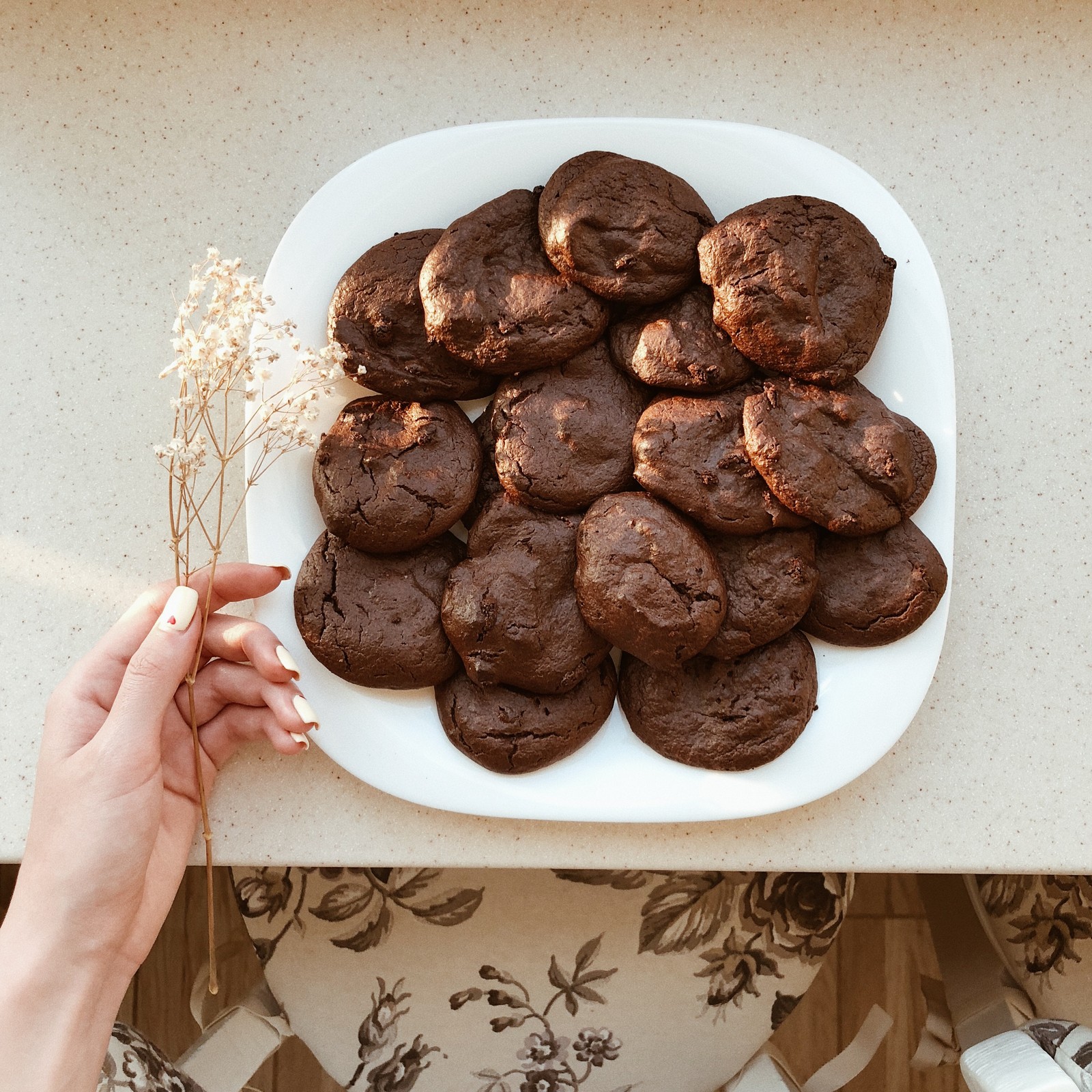 Someone is holding a plate of chocolate cookies on a table (cookies and crackers, chocolate brownie, fudge, baking, lebkuchen)