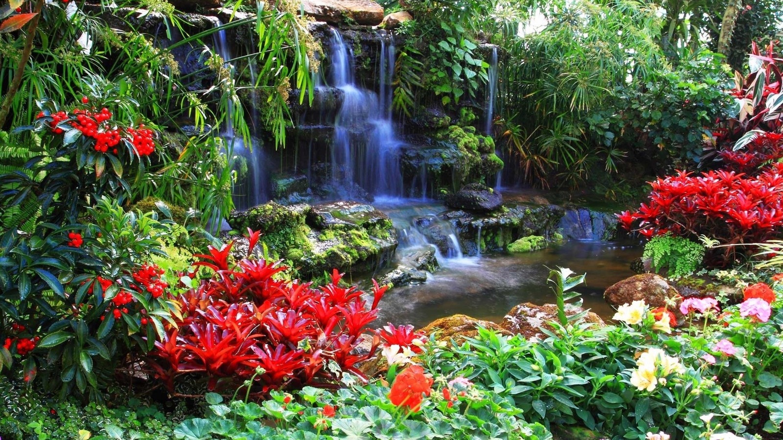 garden, flower, nature, waterfall, vegetation wallpaper