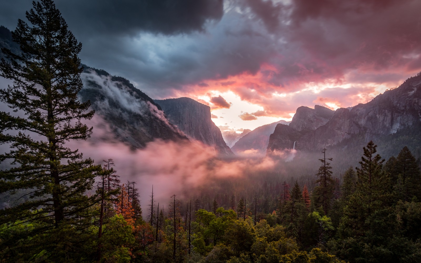 yosemite national park, yosemite valley, misty, morning, 5k wallpaper