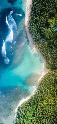 Luftaufnahme eines türkisfarbenen Wasserlaufs, der sich durch eine üppige grüne Strandlandschaft schlängelt.