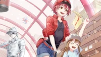 cellules au travail, cellules qui travaillent, はたらく細胞, hataraku saibou, anime