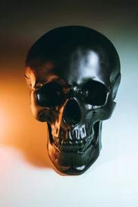 Artistic Black Skull: A Striking Fashion Accessory