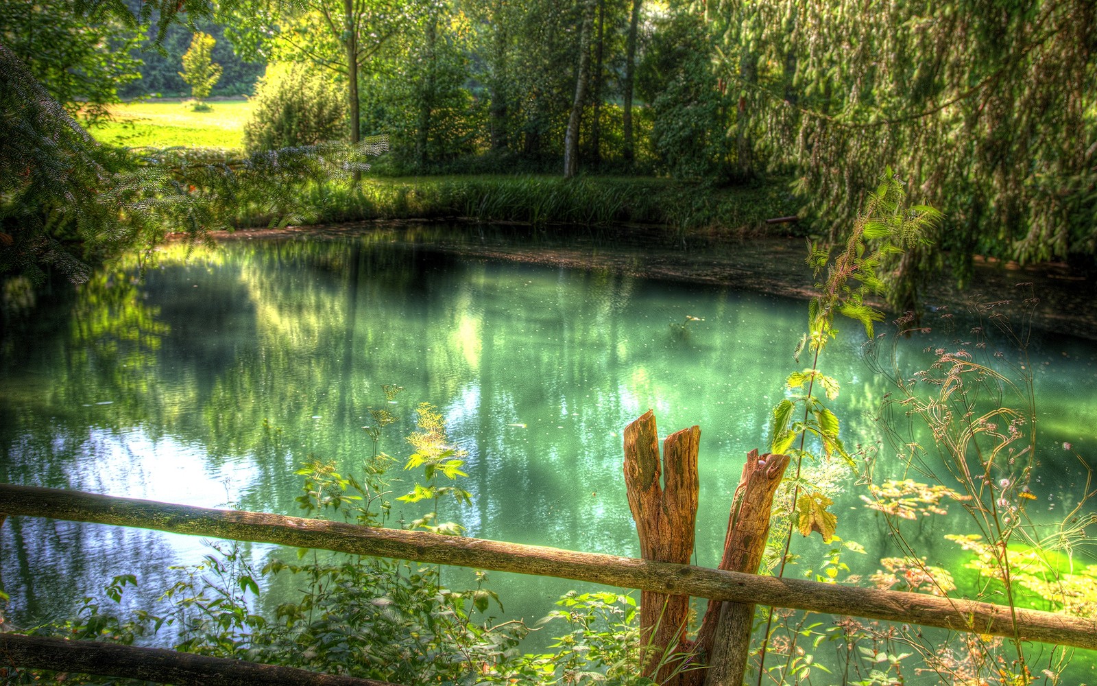 Há um lago com uma cerca e uma árvore ao fundo (natureza, corpo de água, água, vegetação, reflexo)