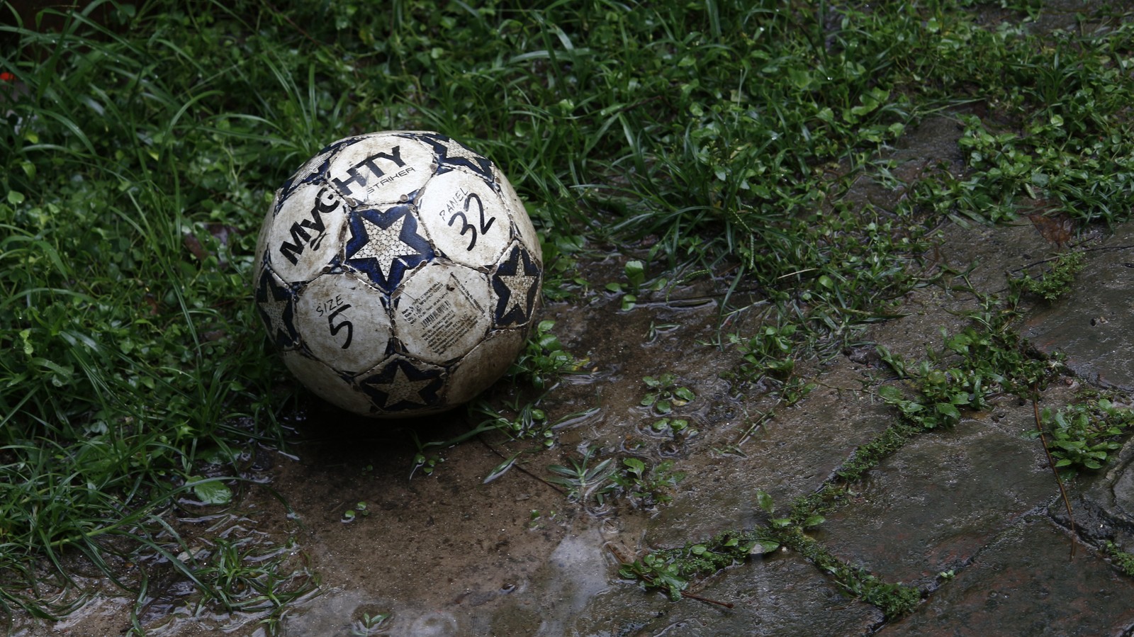 ball, football pitch, football, soccer ball, grass wallpaper