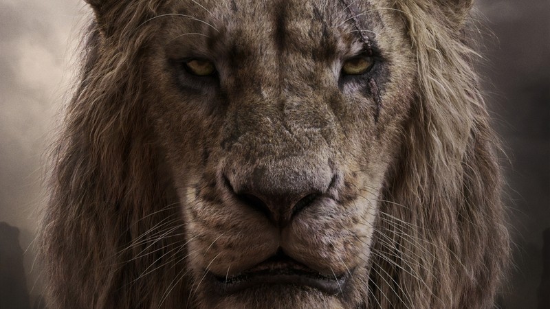 A close up of a lion with a very big face (lion, the walt disney company, wildlife, hair, terrestrial animal)