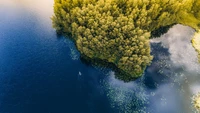 lac, forêt, vue aérienne, nature, paysage