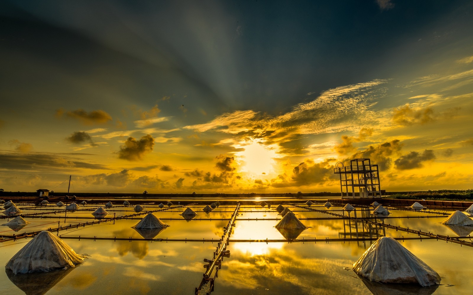 A large field with many rows of rice in it (sunset, cloud, reflection, nature, horizon)