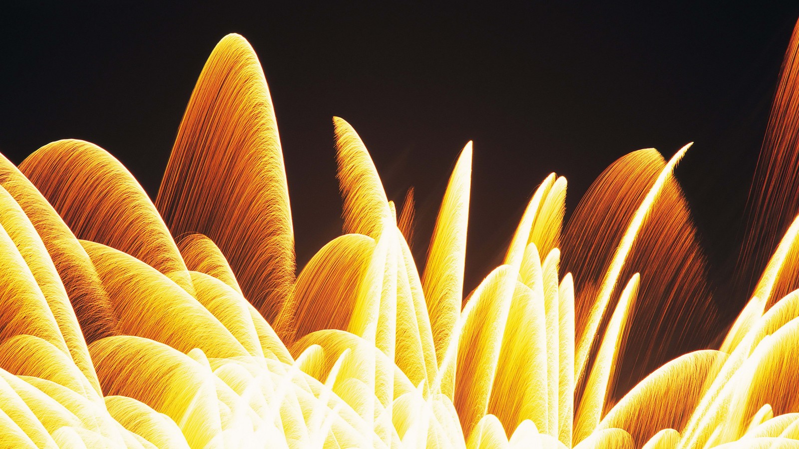 Des feux d'artifice illuminent le ciel nocturne avec une longue exposition (pollen, charbon, jaune, pétale, ciel)