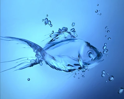 blue, drops, fish, splash, water