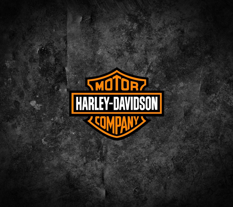 Черно-оранжевый логотип harley davidson на бетонной стене (кафе рейсер, cafe racer, galaxy s8, harley davidson, iphone8)